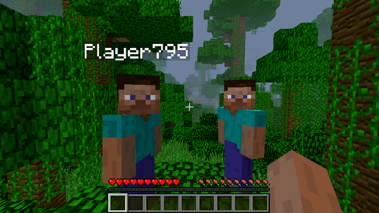 Hide-Names-Mod-for-Minecraft-1.png